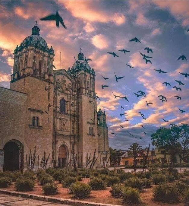 M1010 - The Best Place To Enjoy Oaxaca Екстериор снимка