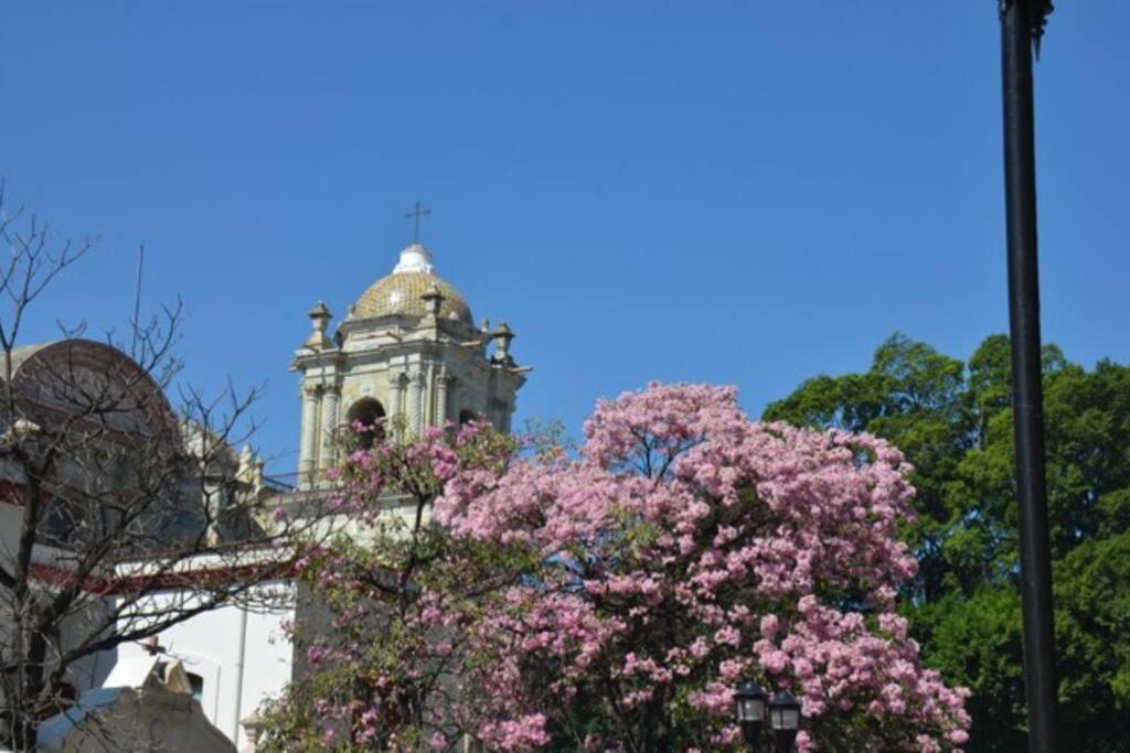 M1010 - The Best Place To Enjoy Oaxaca Екстериор снимка