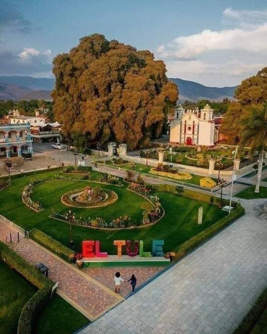 M1010 - The Best Place To Enjoy Oaxaca Екстериор снимка