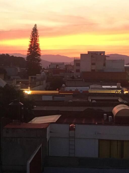 M1010 - The Best Place To Enjoy Oaxaca Екстериор снимка
